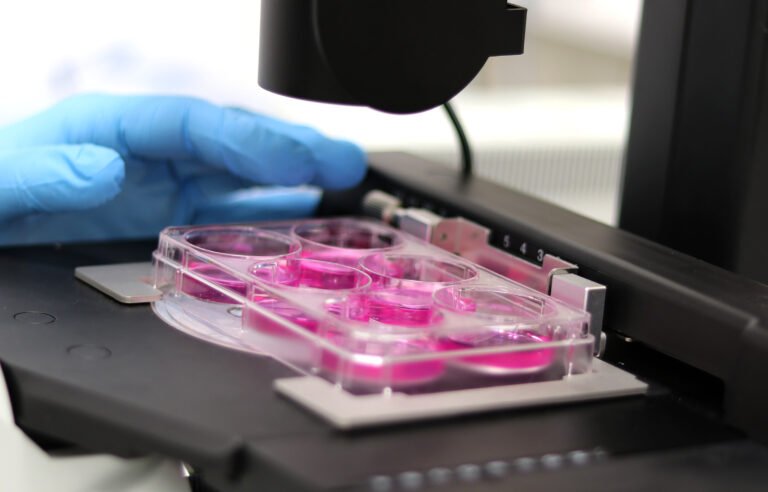 Week 6: In Vitro Transcription (IVT) of mRNA